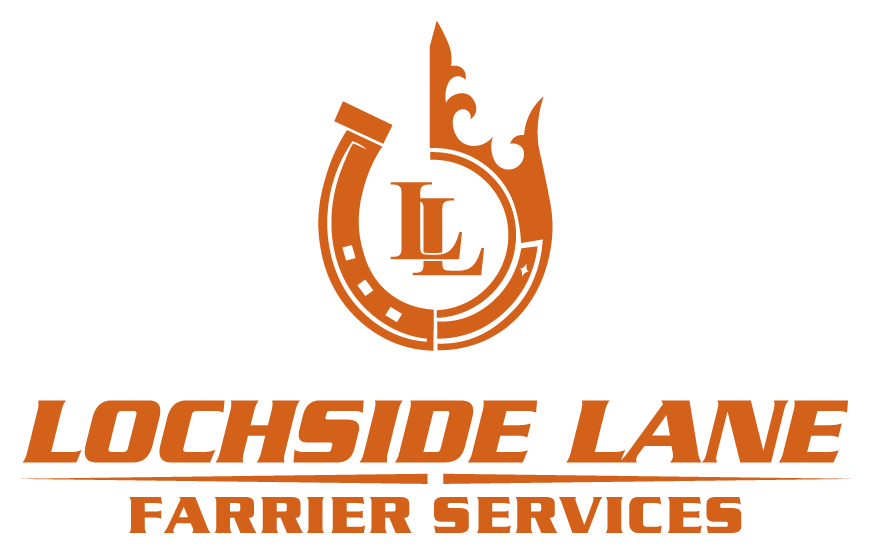 Lochside Lane Farrier Services