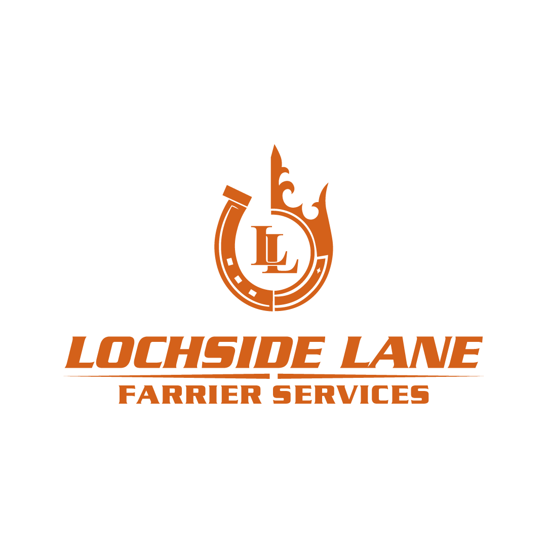 Lochside Lane Farrier Services
